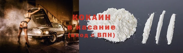 стаф Арсеньев