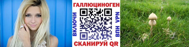 мега маркетплейс  Сердобск  Галлюциногенные грибы Cubensis  купить  